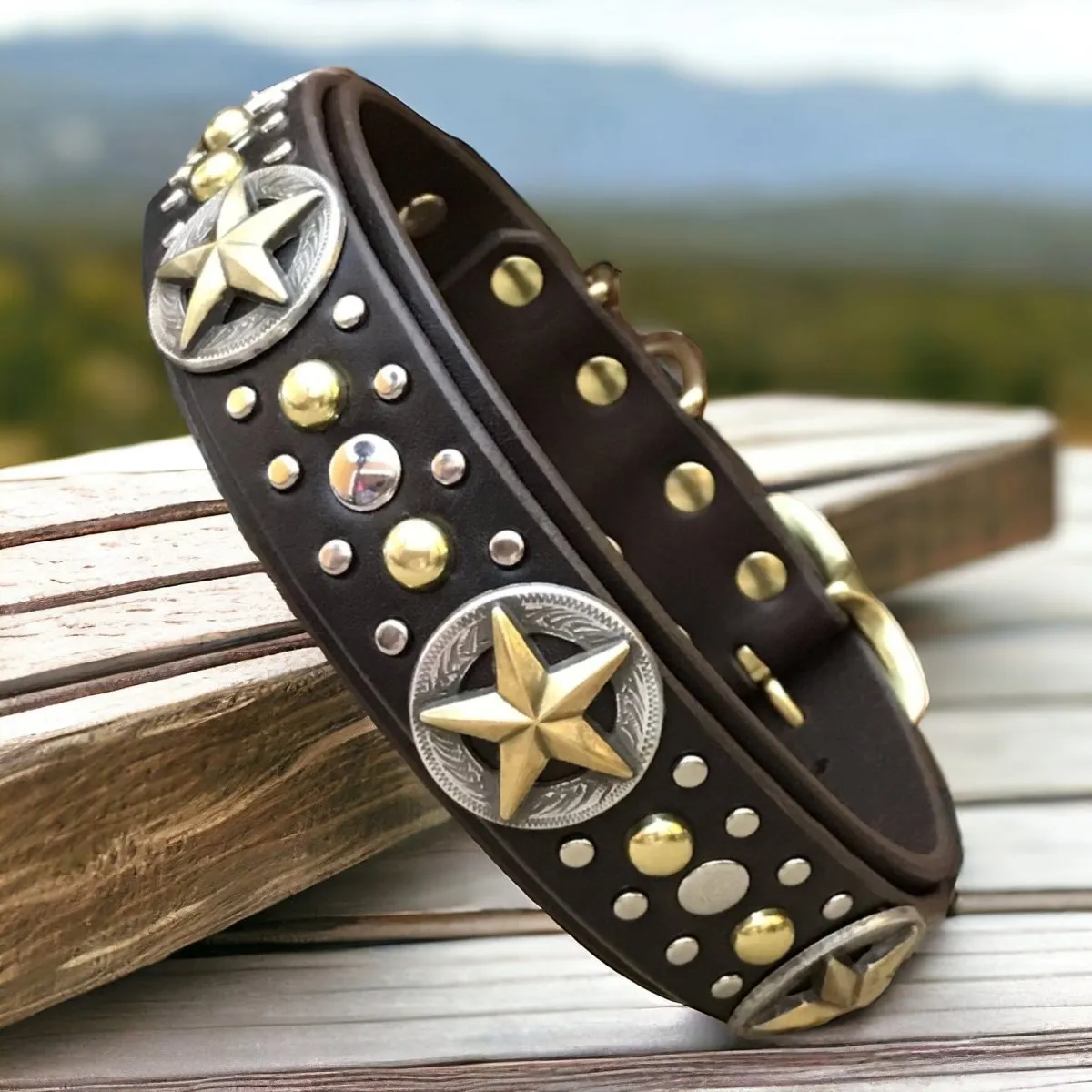 Custom Leather Dog Collar Nashville