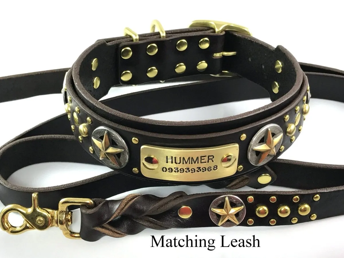 Custom Leather Dog Collar Nashville