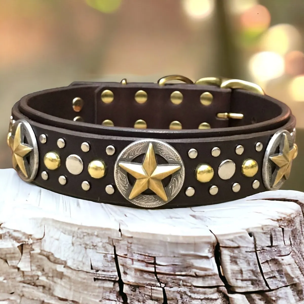 Custom Leather Dog Collar Nashville