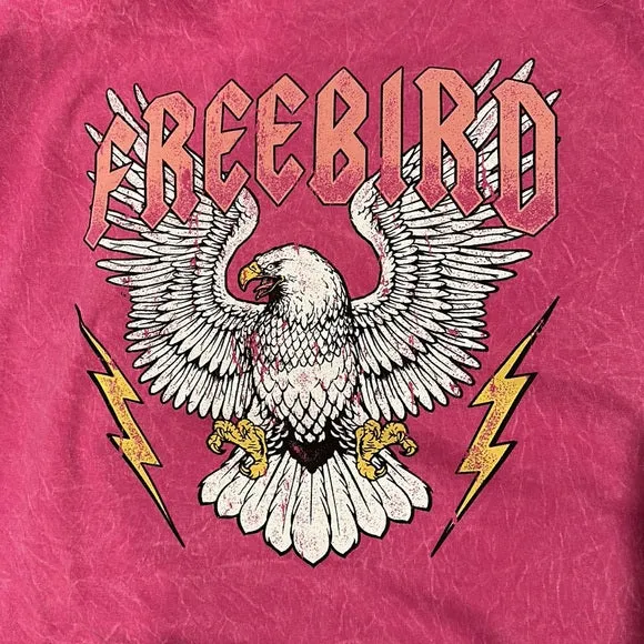 Freebird Eagle Graphic Magenta Mineral T-Shirt Tee Shirt Mini Relaxed Fit Dress