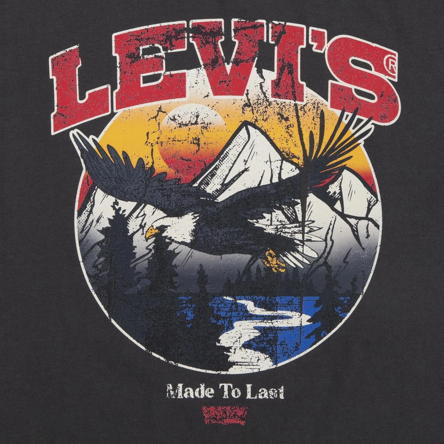 Levi's BLACK Soar Like An Eagle Tee