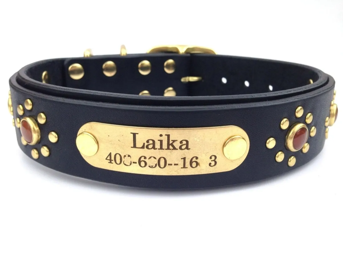 Lumen Leather Dog Collar