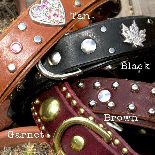 Lumen Leather Dog Collar