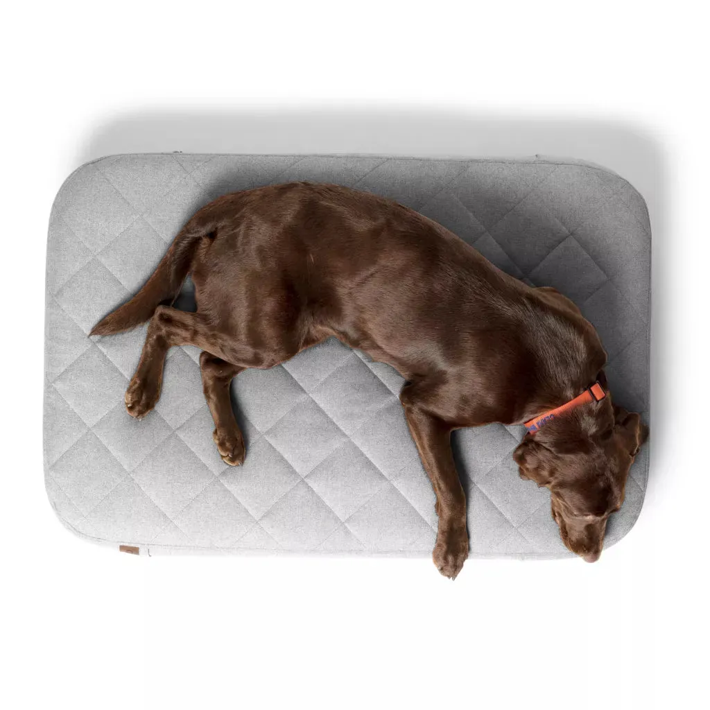 Orvis RecoveryZone™ Lounger Dog Bed 2024