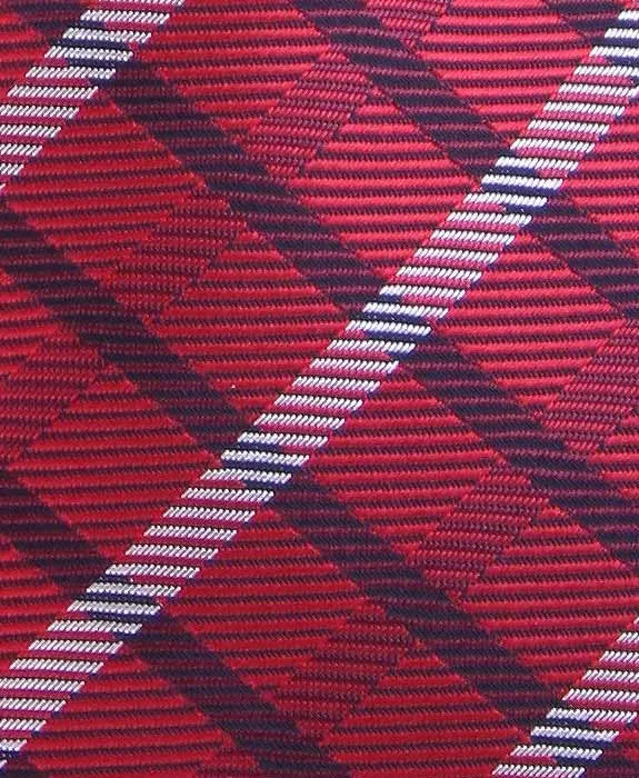 Red and Navy Plaid Necktie