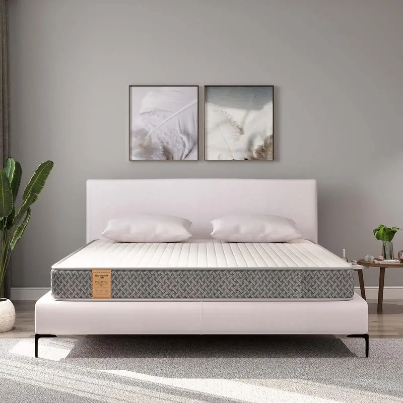 Springwel Easy PureOrtho CleanTech Pro 6 inch Queen Size Mattress (Size- 72x60x6 inches)