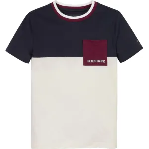 Tommy Hilfiger Ancient White Colorblock Embroidered Tee Ss