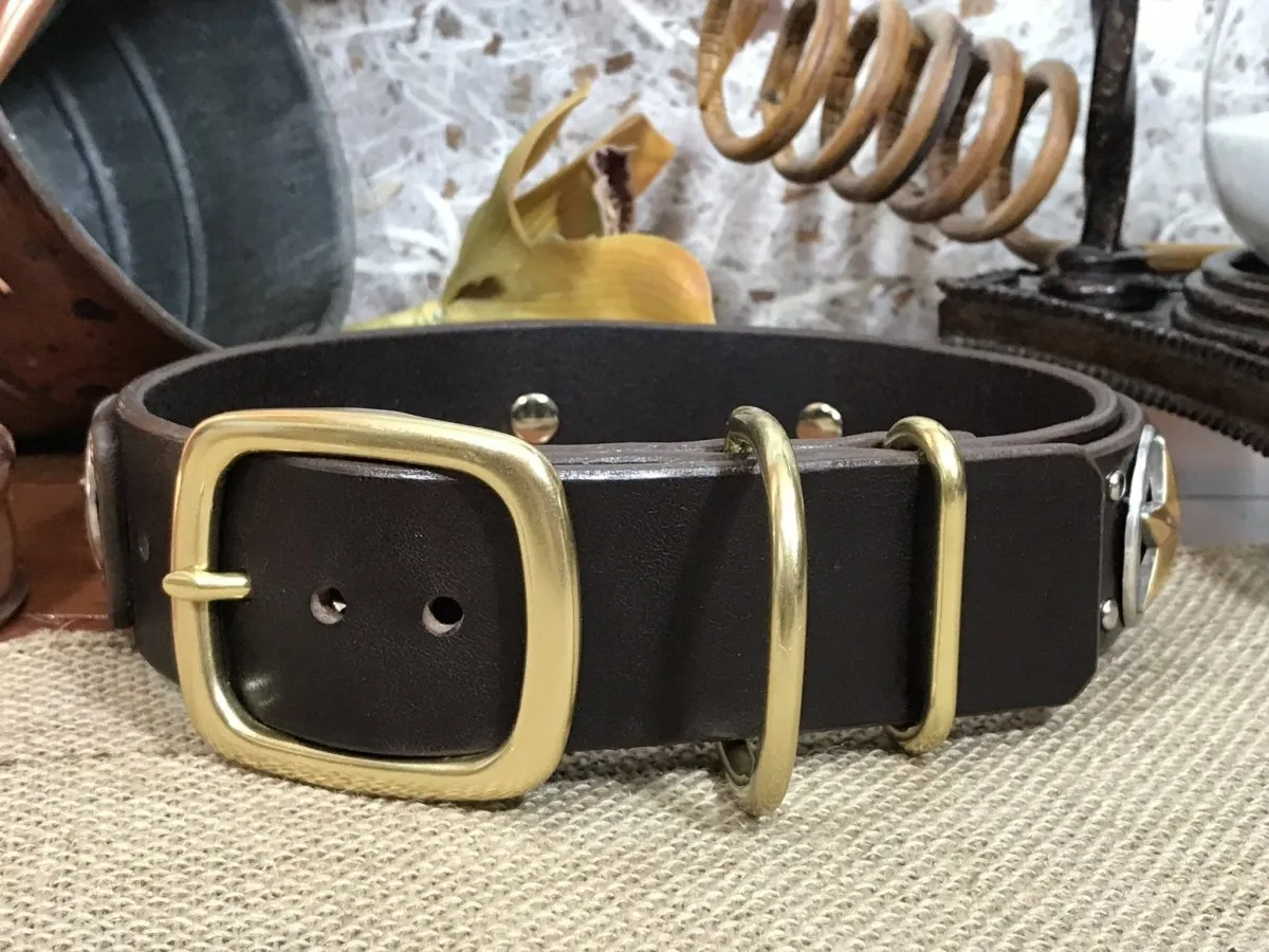 Western Dog Collar Nashville