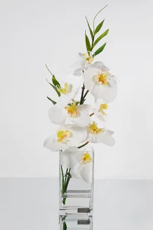 White Phalaenopsis & Bamboo Leaves 6" Cube Vase